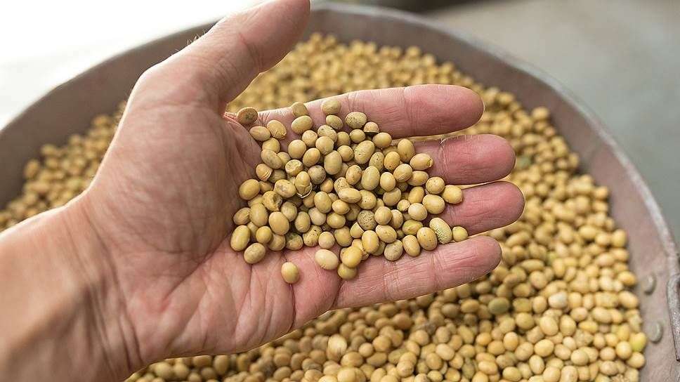 Comerțul R. Moldova cu boabe de soia - agroexpert.md
