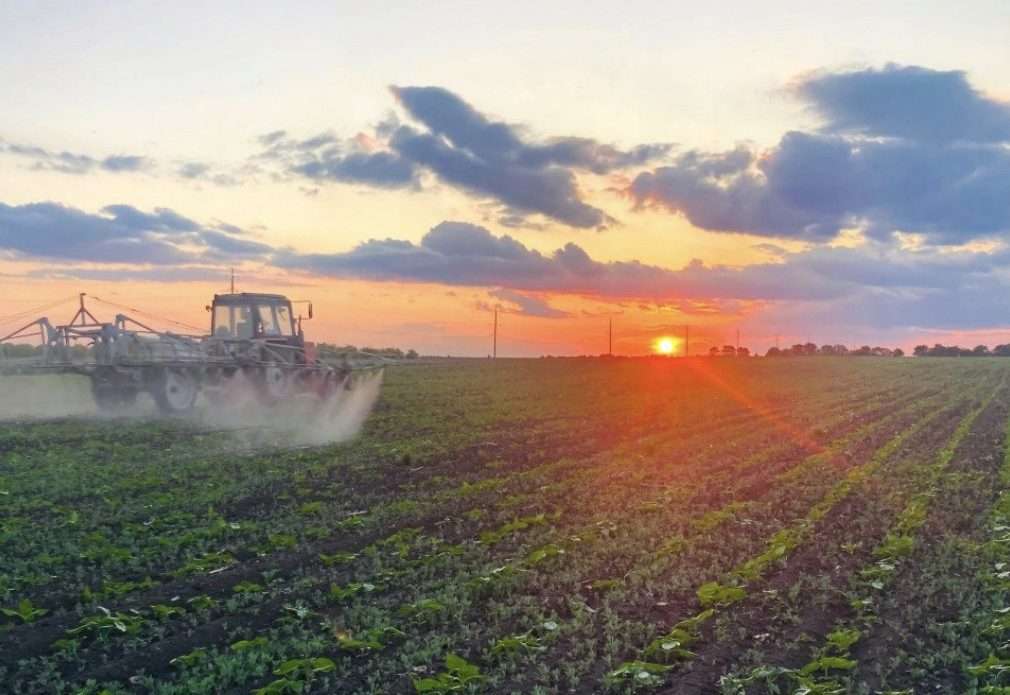 Ponderea agriculturii în PIB-ul Moldovei a scăzut la 7% în 2025 - agroexpert.md