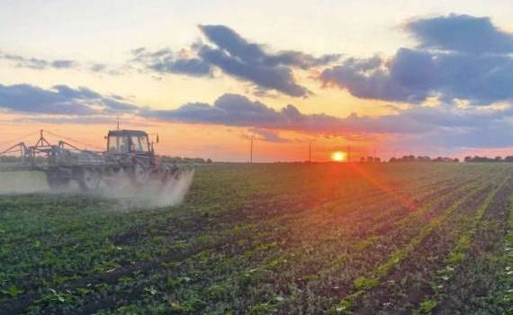 Ponderea agriculturii în PIB-ul Moldovei a scăzut la 7% în 2025 - agroexpert.md
