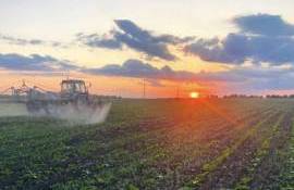 Ponderea agriculturii în PIB-ul Moldovei a scăzut la 7% în 2025 - agroexpert.md