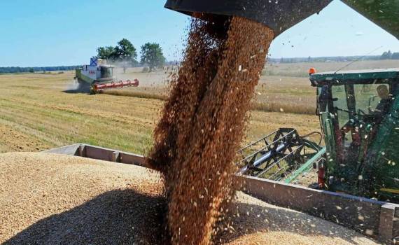 Евросоюзу в этом сезоне потребуется импортировать около 26 млн т зерна - agroexpert.md