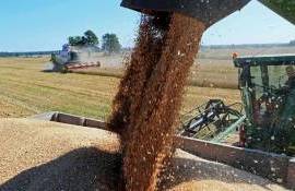 Евросоюзу в этом сезоне потребуется импортировать около 26 млн т зерна - agroexpert.md