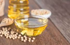 uleiul de soia completează veniturile din șrot - agroexpert.md
