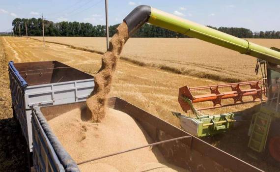 У Франции возникли трудности со сбытом рекордного урожая пшеницы - agroexpert.md