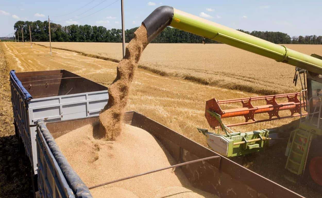 У Франции возникли трудности со сбытом рекордного урожая пшеницы - agroexpert.md