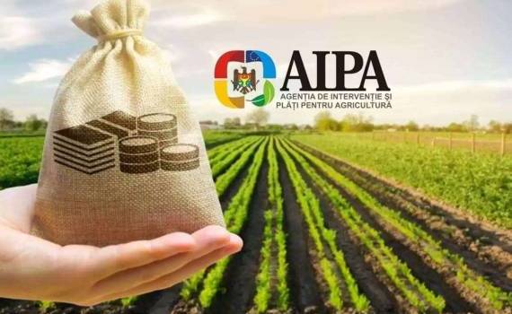 Фермеры Молдовы получили в июле свыше 96 млн леев субсидий - agroexpert.md
