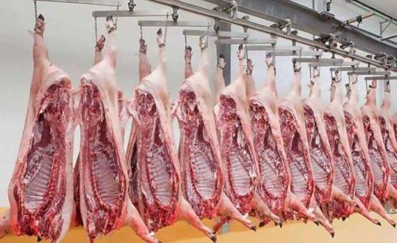 moldova-otkryvaet-svoj-rynok-dlya-produkcii-zhivotnogo-proiskhozhdeniya-iz-es - agroexpert.md