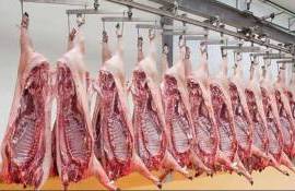 moldova-otkryvaet-svoj-rynok-dlya-produkcii-zhivotnogo-proiskhozhdeniya-iz-es - agroexpert.md