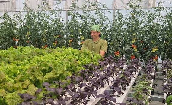 studenti profil agrar - agroexpert.md