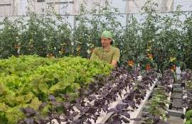 studenti profil agrar - agroexpert.md