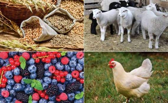 В Молдове цены сельхозпроизводителей в первом полугодии выросли на 28% - agroexpert.md