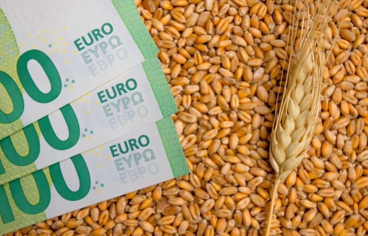 Европейский рынок: во вторник фьючерсы пшеницы на Euronext упали - agroexpert.md