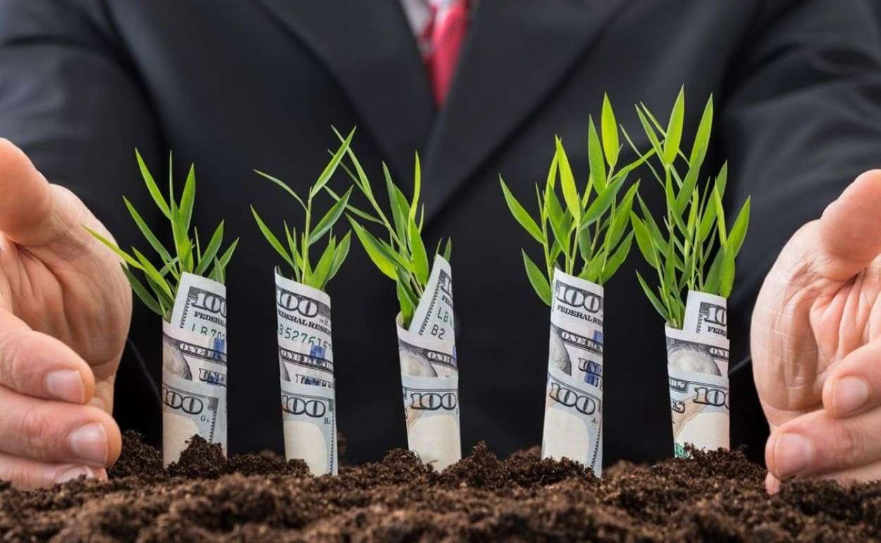 Почти 100 компаний получили финансирование по программе FCA - agroexpert.md