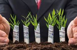 Почти 100 компаний получили финансирование по программе FCA - agroexpert.md
