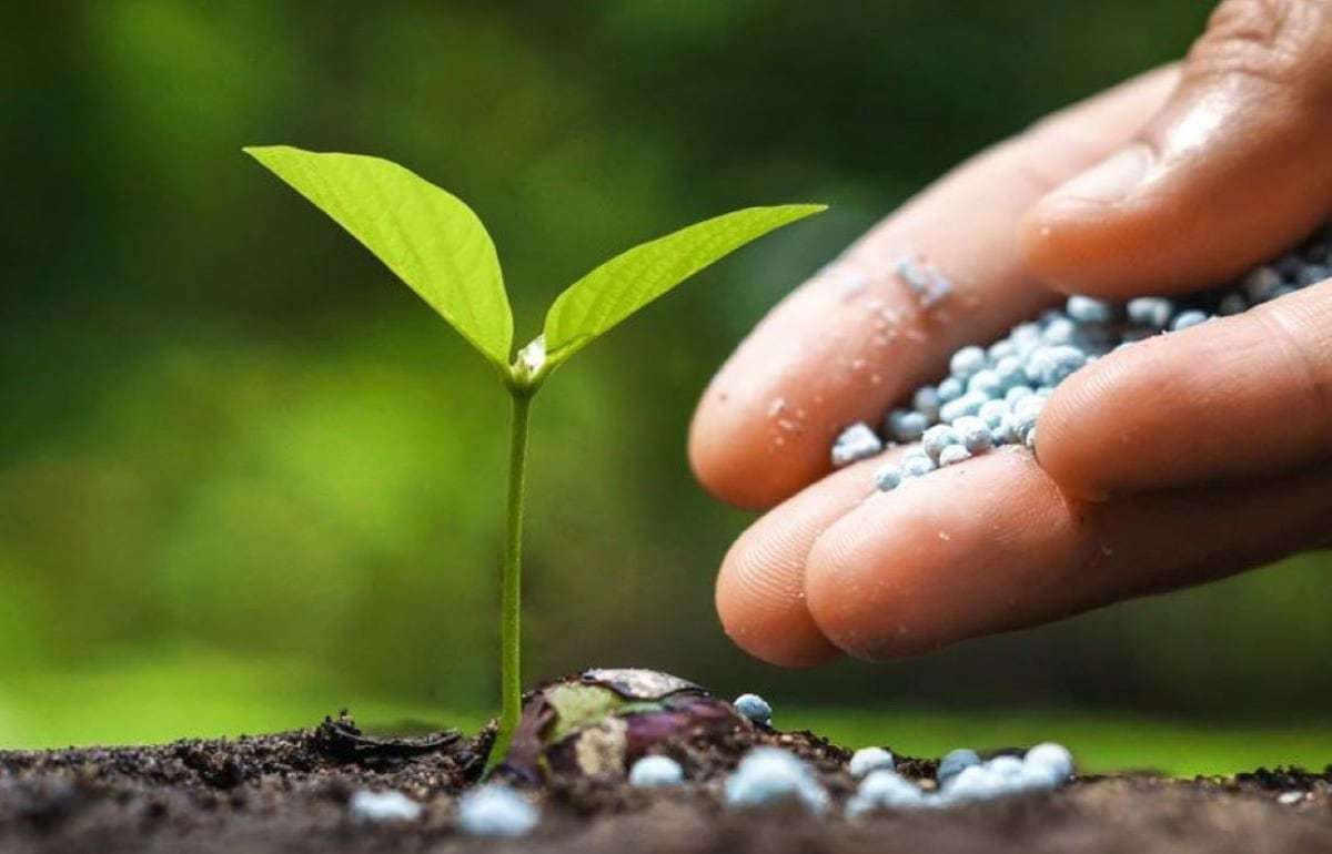 Цены на удобрения на пике, вскоре может начаться понижение - agroexpert.md
