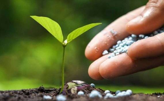 Цены на удобрения на пике, вскоре может начаться понижение - agroexpert.md