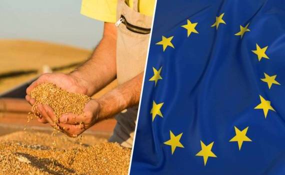 Темпы экспорта пшеницы в странах ЕС почти на 60% ниже прошлогодних - agroexpert.md