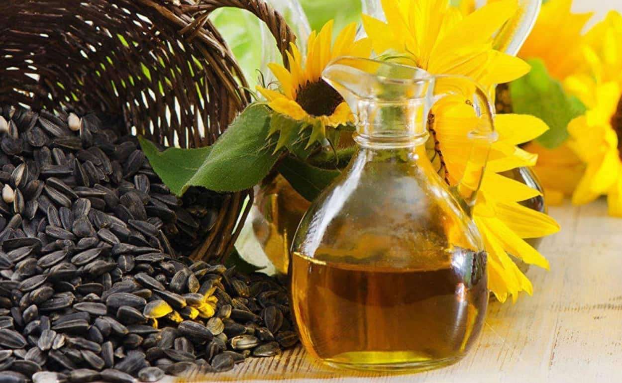 В Молдове экспортеров фруктов обучали как составлять контракты - agroexpert.md