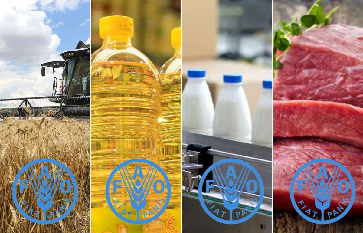 ФАО: Мировые цены на мясо бьют рекорды - agroexpert.md