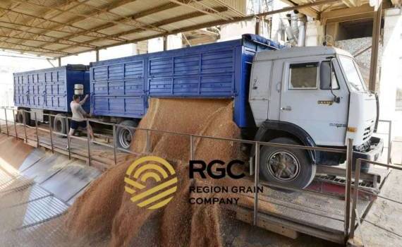 Украинский зерновой трейдер вышел на рынки Молдовы и Румынии - agroexpert.md