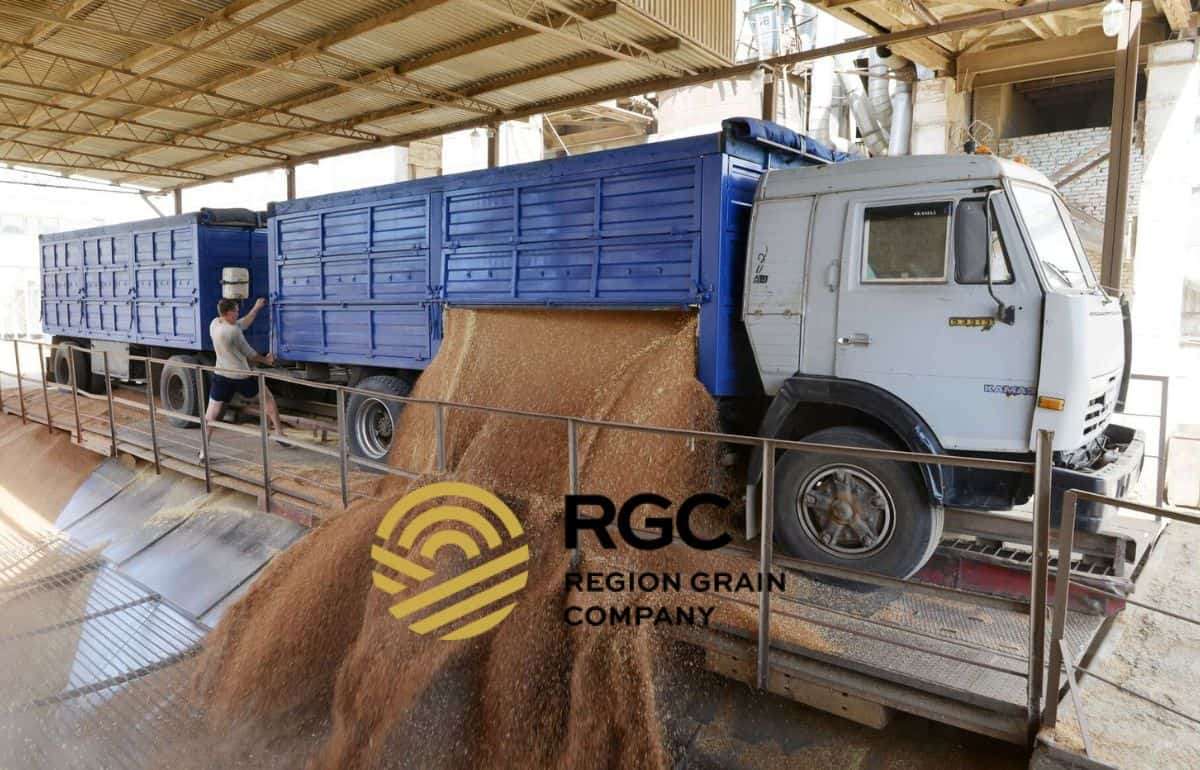 Украинский зерновой трейдер вышел на рынки Молдовы и Румынии - agroexpert.md