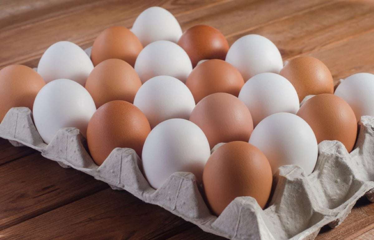 Высокий спрос стимулирует рост экспорта яиц из Молдовы - agroexpert.md