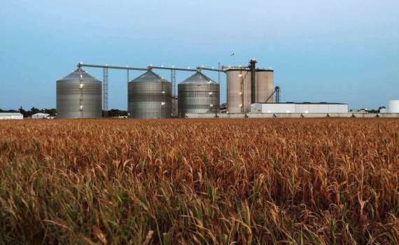 profitul din industria etanolului - agroexpert.md