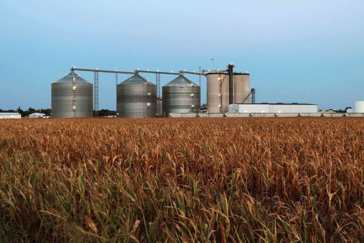 profitul din industria etanolului - agroexpert.md