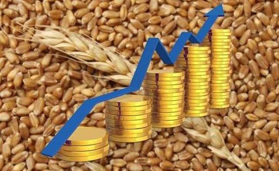 cereale au adus cei mai mulți bani fermierilor moldoveni - agroexpert.md