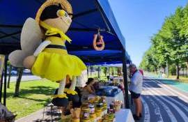 Festivalul Pomușoarelor și al Mierii de Albine - agroexpert.md