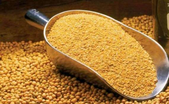 Мировая торговля соевым шротом обновит рекорд третий год подряд - agroexpert.md