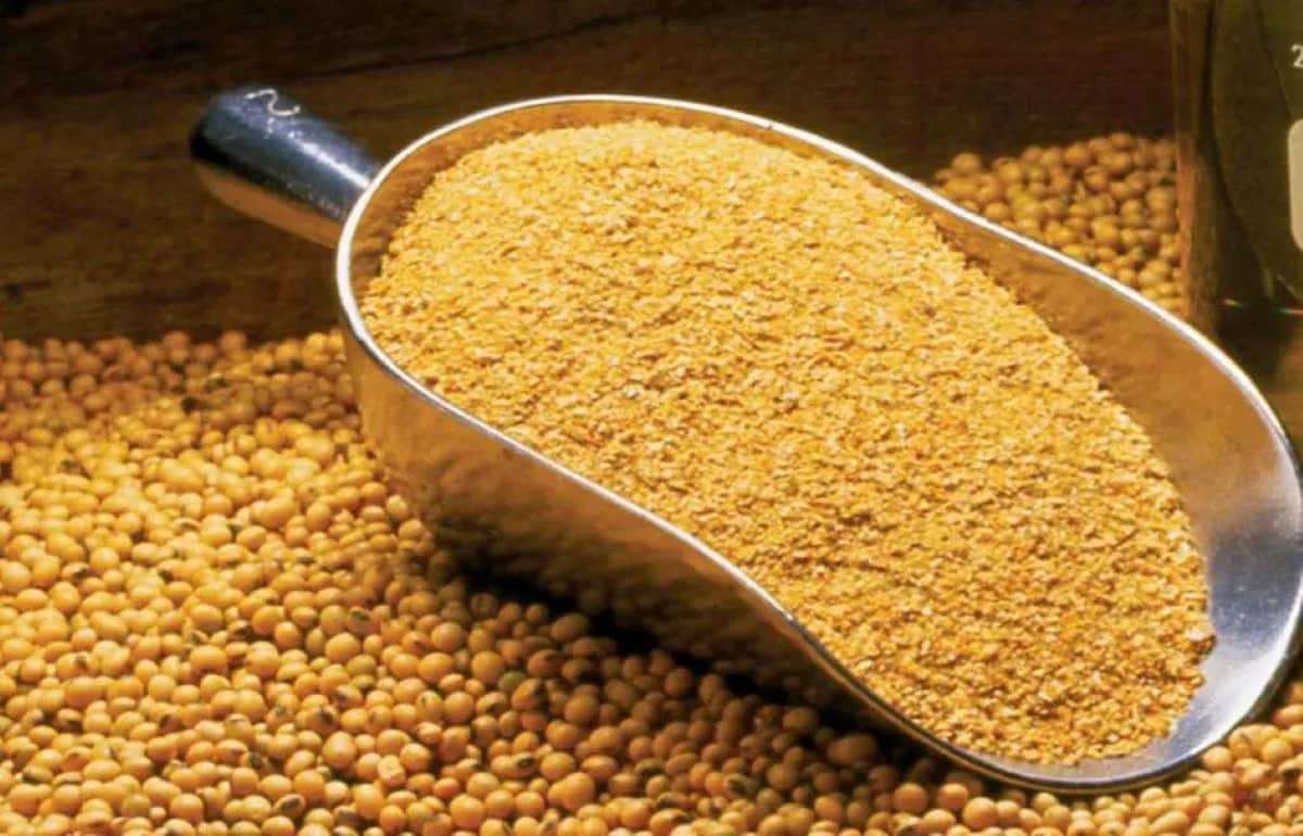 Мировая торговля соевым шротом обновит рекорд третий год подряд - agroexpert.md