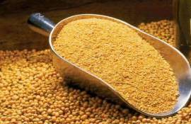 Мировая торговля соевым шротом обновит рекорд третий год подряд - agroexpert.md