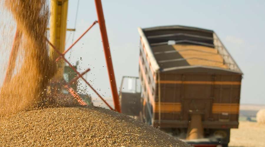 Transportul feroviar, aproape dispărut - agroexpert.md
