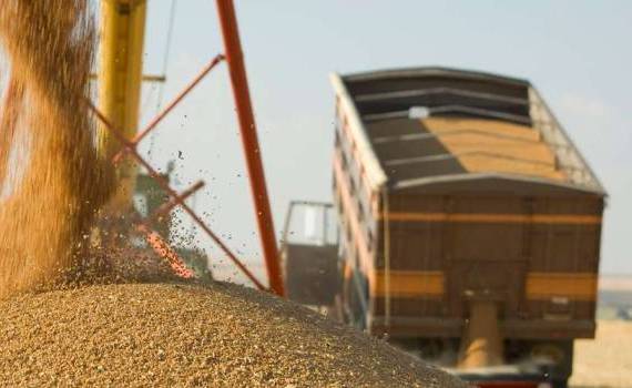 Transportul feroviar, aproape dispărut - agroexpert.md