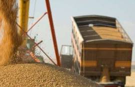 Transportul feroviar, aproape dispărut din exporturile de cereale