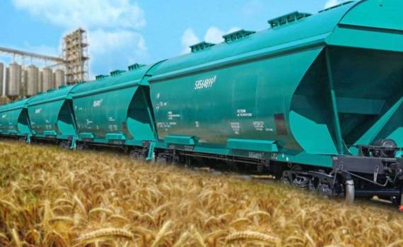 Первый зерновой поезд доставил груз из Молдовы в порт Черноморск - agroexpert.md