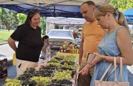 produse locale