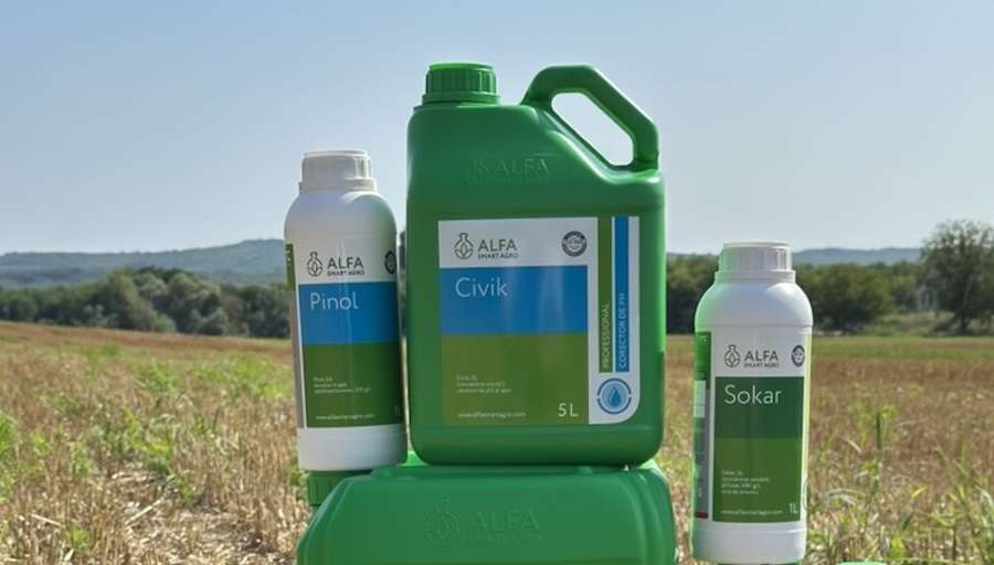 Борьба с корнеотпрысковыми сорняками осенью - agroexpert.md