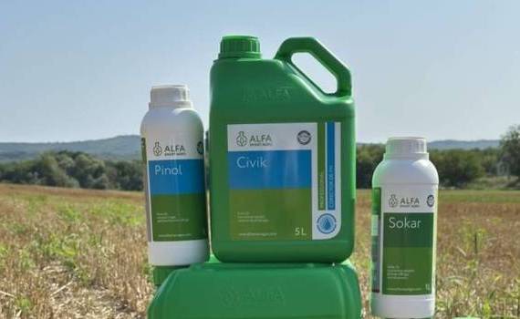 Борьба с корнеотпрысковыми сорняками осенью - agroexpert.md