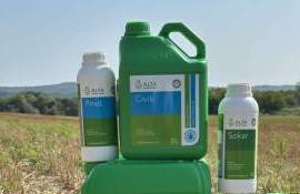 Борьба с корнеотпрысковыми сорняками осенью - agroexpert.md