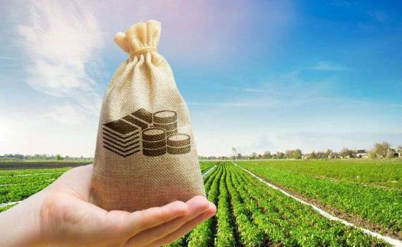 Mecanisme de subvenționare în 2025: Ce sprijin pot solicita fermierii - agroexpert.md