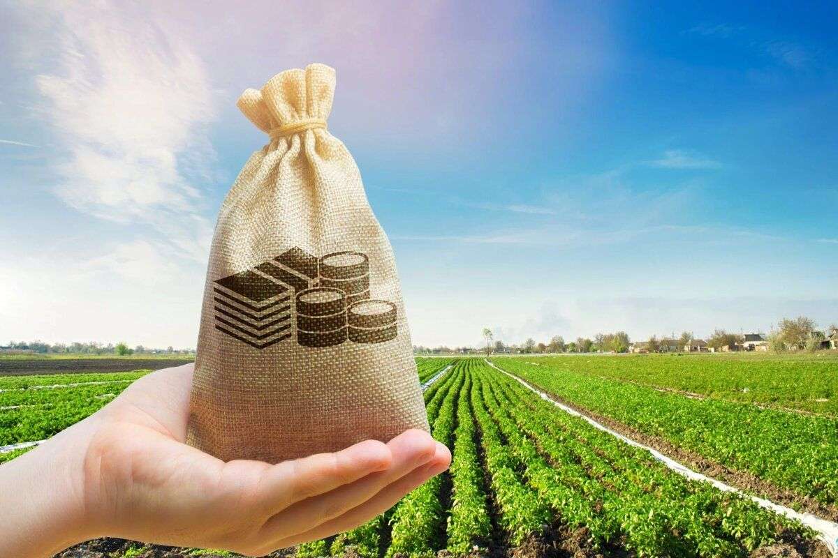 Mecanisme de subvenționare în 2025: Ce sprijin pot solicita fermierii - agroexpert.md