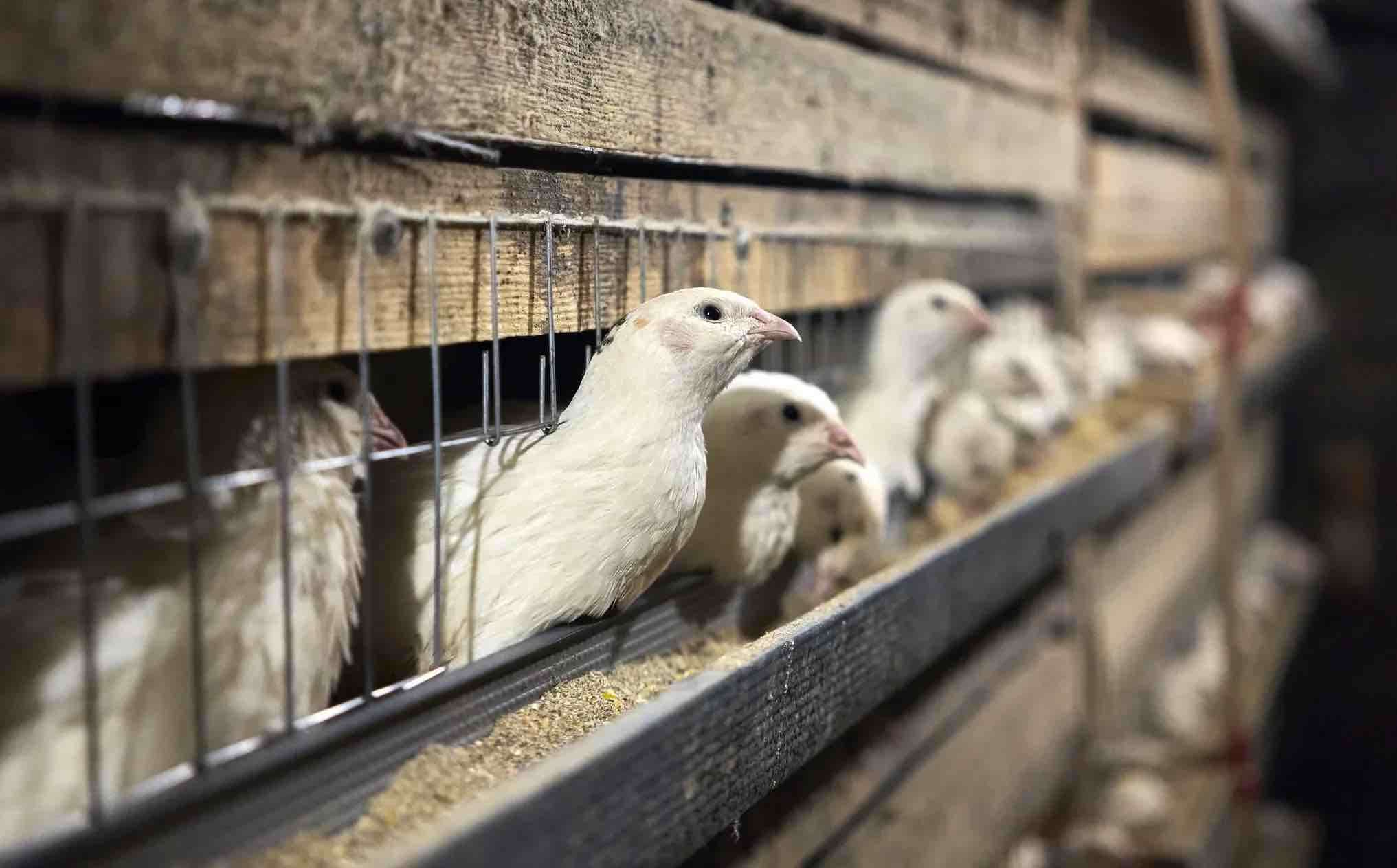 программу по наращиванию потенциала для МСП и фермеров в Молдове - agroexpert.md