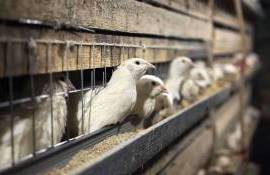 программу по наращиванию потенциала для МСП и фермеров в Молдове - agroexpert.md