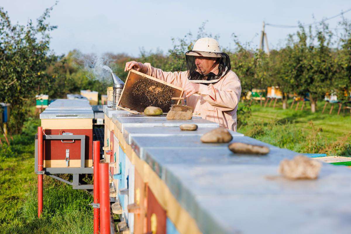 PNUD lansează concursul pentru crearea a 3 clustere - agroexpert.md