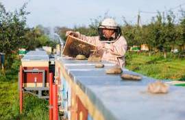 PNUD lansează concursul pentru crearea a 3 clustere - agroexpert.md