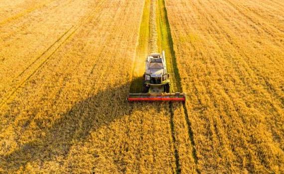 rambursarea TVA producătorilor agricoli - agroexpert.md