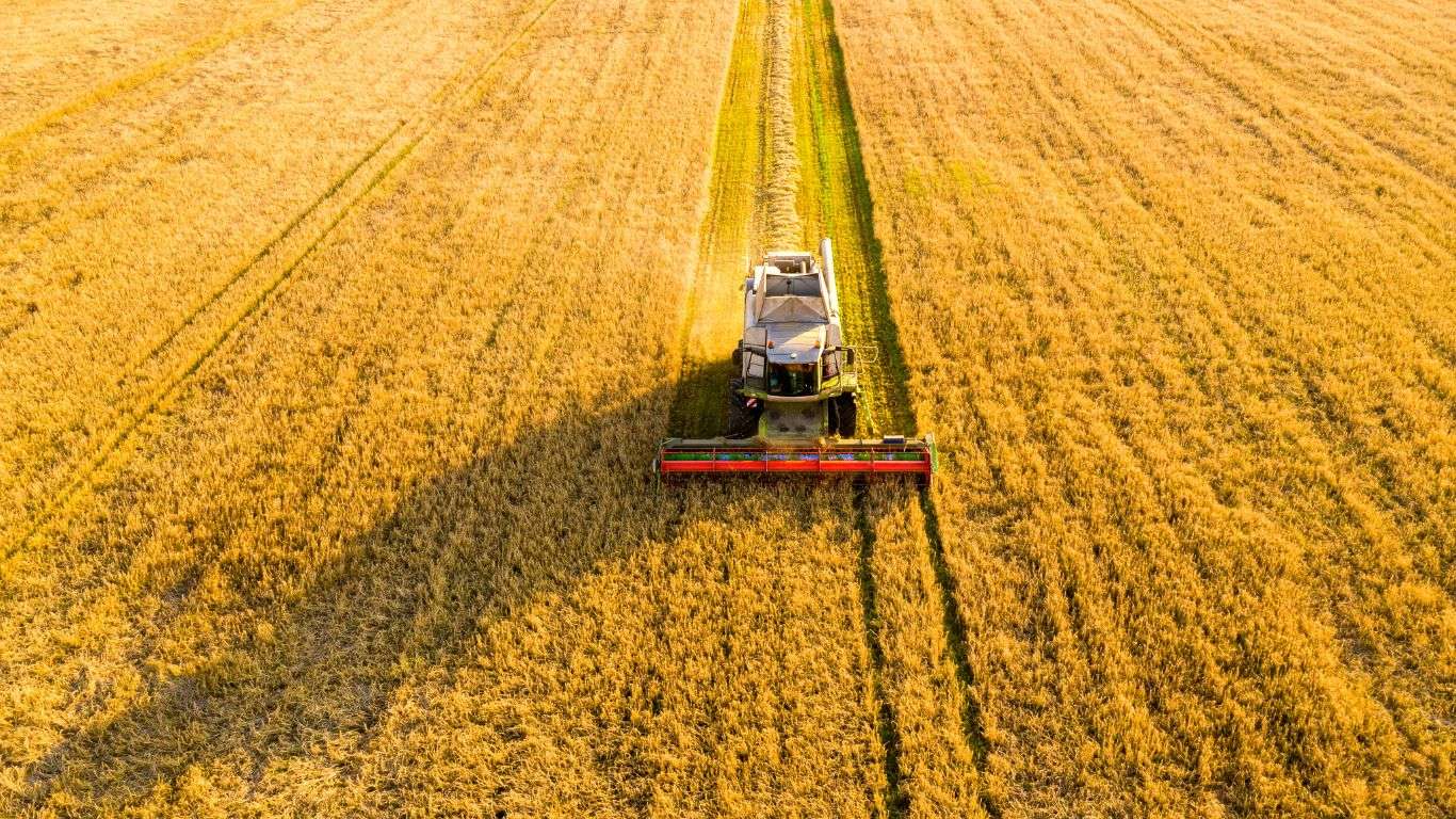 rambursarea TVA producătorilor agricoli - agroexpert.md