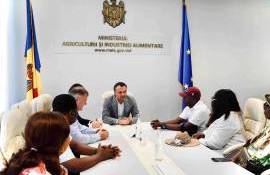 Vinurile Moldovei cuceresc piețele din Nigeria - agroexpert.md